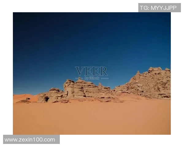 葡萄牙与阿尔及利亚的精彩对决揭示足球魅力与国家荣誉的碰撞